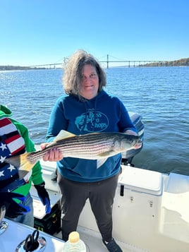 6-8 Hours Day Trip – Cape Cod Bay