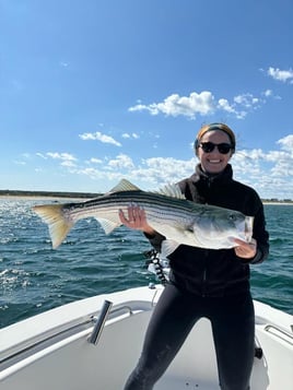 6-8 Hours Day Trip – Cape Cod Bay