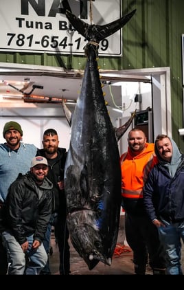 Full Day Tuna Trip