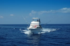 Full Day Tuna Trip