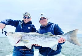 Trophy striped bass