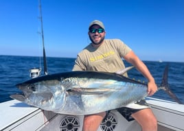 Bluefin tuna 