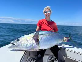 Bluefin tuna 
