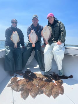 Winter flounder 