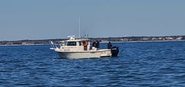 Cape Cod Striped Bass Fishing