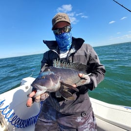 6-8 Hours Cape Cod Bottom Fishing