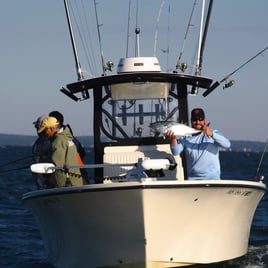 Cape Cod False Albacore & Bonito