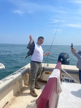Black Sea Bass