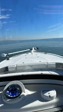 2hr Beginners trip 