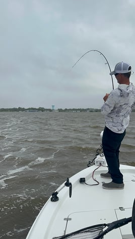 2hr Beginners trip 
