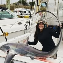 Shark Boss Special