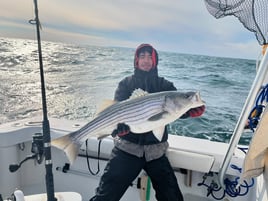 7 Hour Trip – Bass and Blues