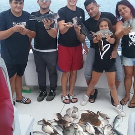 4-7 Hour Trip – Captain's Choice