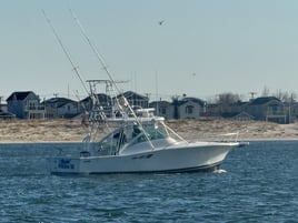 4-7 Hour Trip – Captain's Choice