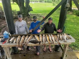 7 Hour Charter Trip Inshore 