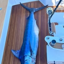 Full Day Offshore Trip