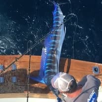 Full Day Offshore Fishing