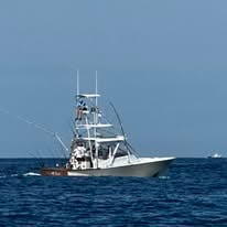Full Day Offshore Fishing
