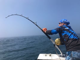 Cape Cod Tuna Fishing