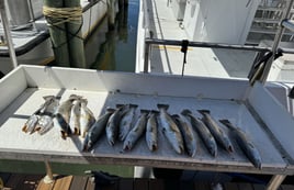5 Hour Fishing Trip
