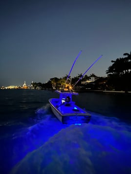 Super grouper/bottom fishing trip