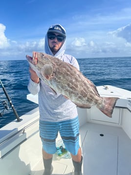 Super grouper/bottom fishing trip