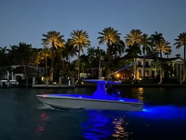 Super grouper/bottom fishing trip