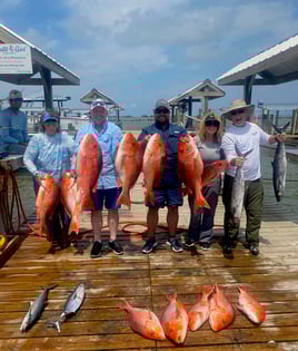 Reef Fish Round Up