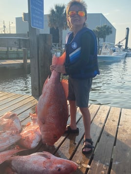 Reef Fish Round Up
