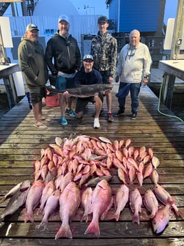 Reef Fish Round Up