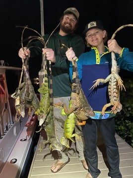 Night Iguana Hunt