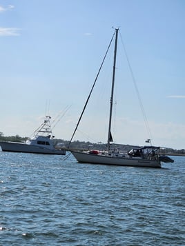 Boat Cruises