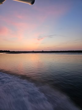 Boat Cruises