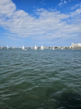 Boat Cruises