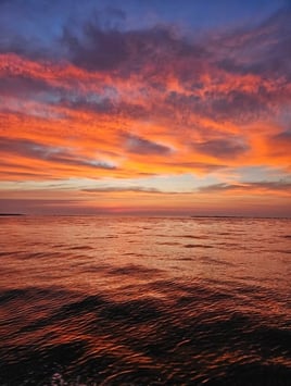 Boat Cruises