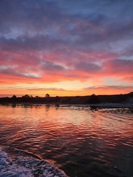 Boat Cruises