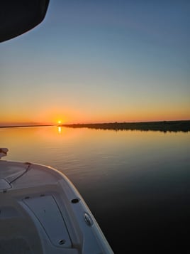 Biloxi Marsh Boat Tours