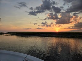 Tours and boat rides.