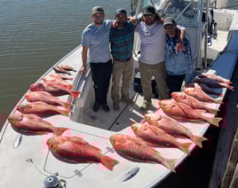 6 Hour Red Snapper Trip