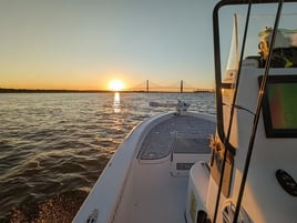 Back Country Eco Tours