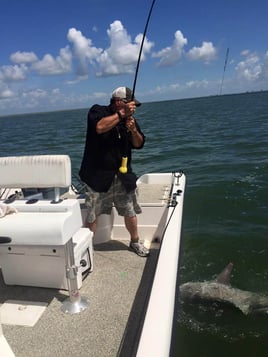Half Day Shark Trip