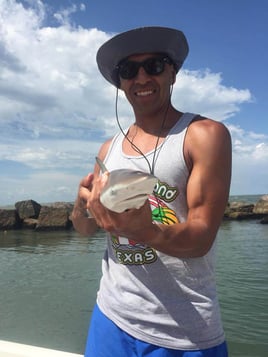 Half Day Shark Trip