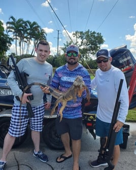 Iguana Hunts