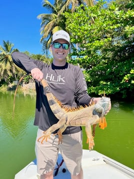 Iguana Hunting Adventure 