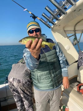 6 Hour Perch Charter