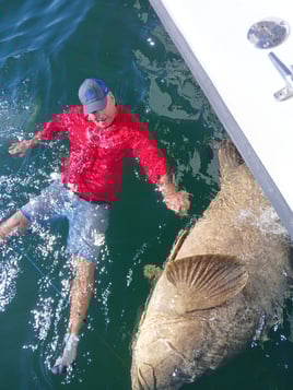 Tarpon Fishing 4 Hours