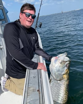 Tarpon Fishing 4 Hours