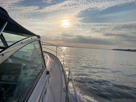 Pleasure Cruises