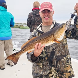 Inshore/Near Fishing Trip