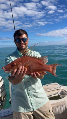 4-8 HR Inshore Trip